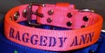 Baby Blocky Collar with Embroidery